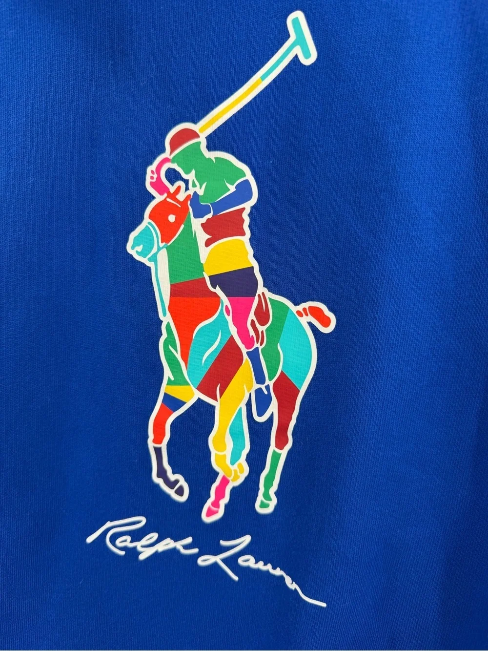 Polo Ralph Lauren The Big Fit Big Pony Fleece Hoodie